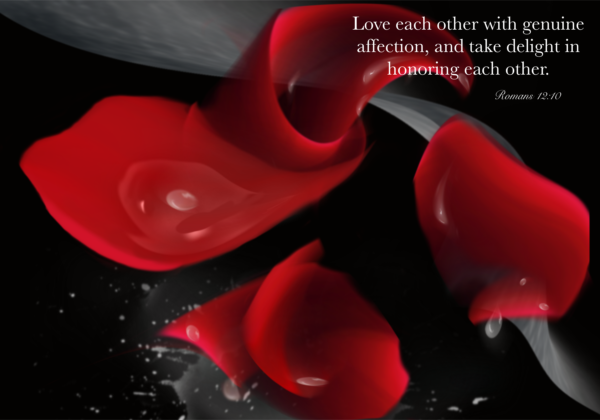 Petals Dew 1 "Love Each Other..." Greeting Card - Image 3